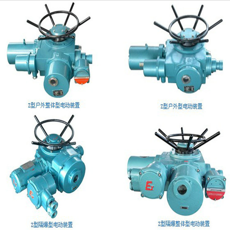 DZB60-24系列隔爆型电动装置，阀门电动头，防爆电动装置