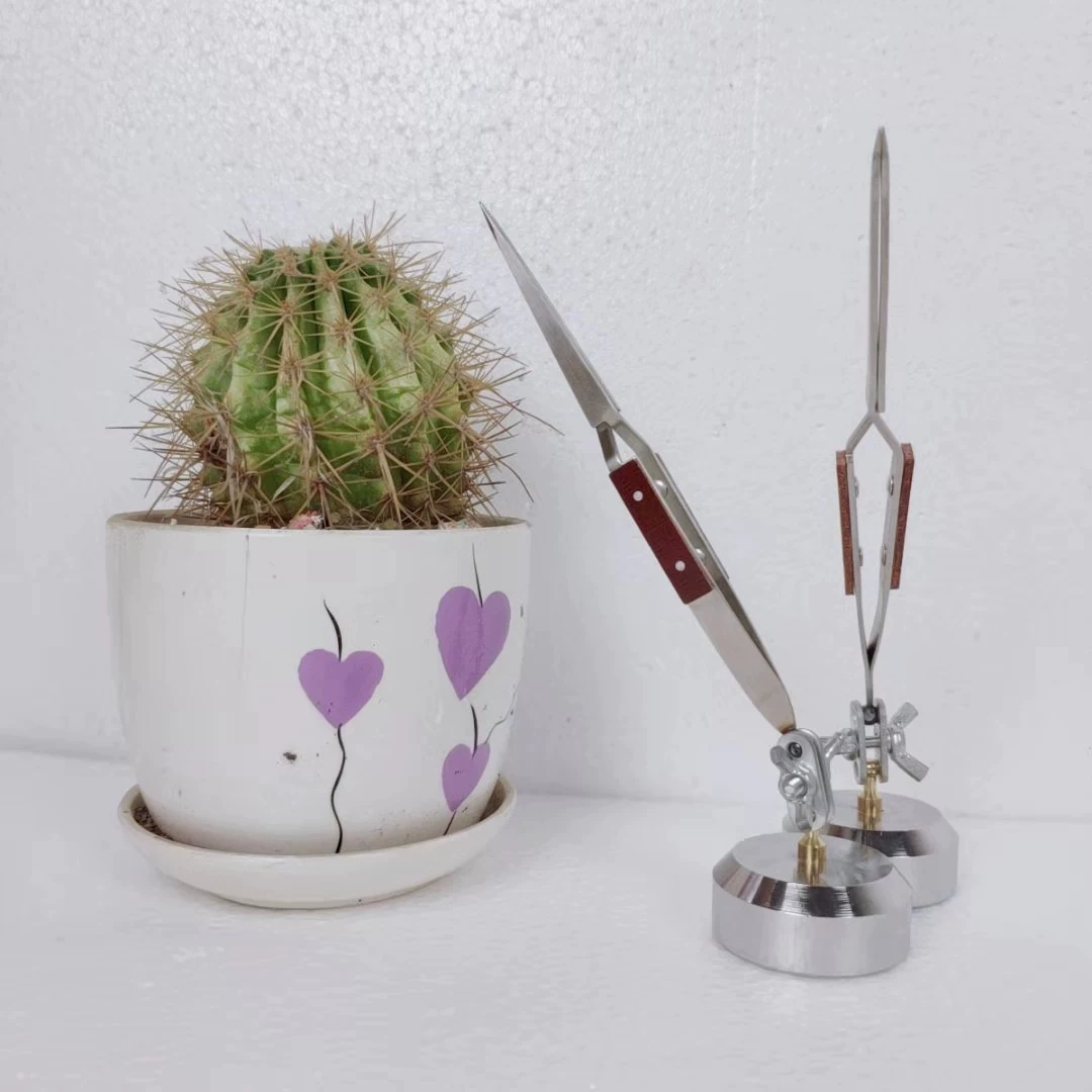 Универсальный кронштейн обратный зажим Изогнутый Рот обратный Зажим прямой рот обратный зажим ювелирные изделия Сварка фиксированный Пинцет ювелирные инструменты