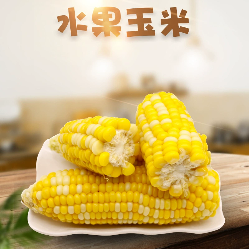 Кукуруза фруктовая из Юньнани, Дехонг, свежая желтая нежная кукуруза на колосье для употребления сырым и варёным виде, сезонная овощная продукция.