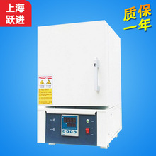 ϺSM SX2-4-10G ʽt Rt 늠t ߜؠt 1000