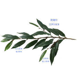 仿真植物栲树叶山毛榉丝栗栲叶绿植田园盆景工程装饰樟树叶批发