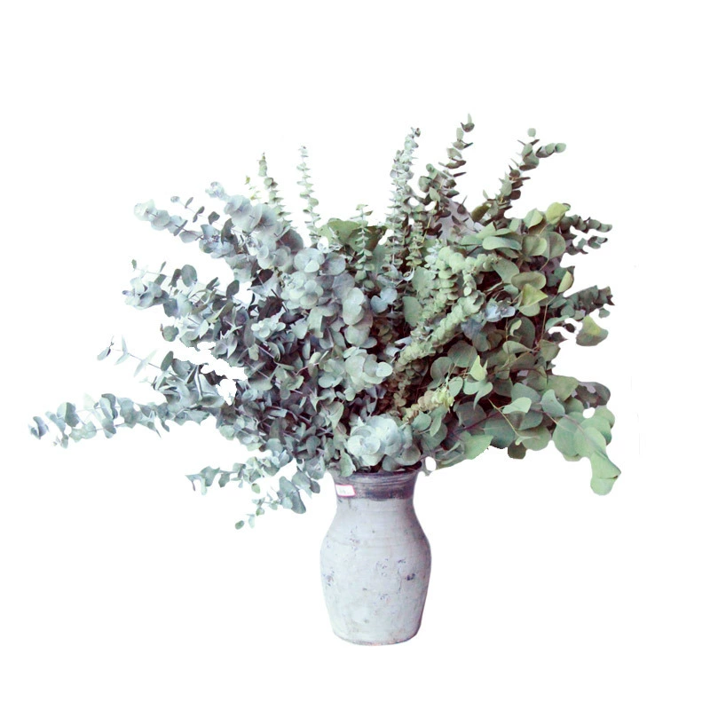 Base A -Class Yigali Yean Flower Mori естественно высушенный, настоящий цветок медь эвкалипт Eugar база оптом