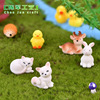 B.Duck, cartoon jewelry, rabbit, micro landscape, kitten, fox, raccoon