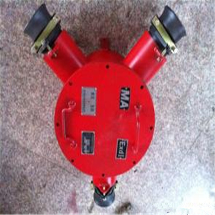 BHD2隔爆压电缆接线盒厂家BHD2低压接线盒BHD低压电缆接线盒