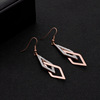 Trend fashionable long earrings stainless steel with tassels, Korean style, internet celebrity