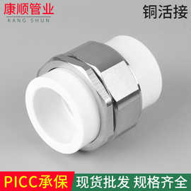 PPR双双热熔铜活接双头活接转换直接pert转pbpe20-75水管给水管