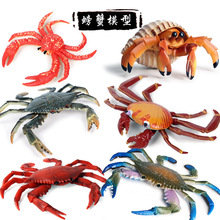 仿真动物模型海洋螃蟹莎莉蟹寄居蟹梭子蟹三点蟹塑胶模型认知玩具