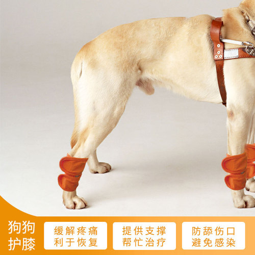 Amazon pet knee pads dog postoperative leg warmers recovery strap bracket leg warmers