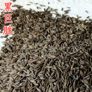 ��ș�����l���Ąپބ��Ѻ������Ѿބ����n������Ʒ��؛������]