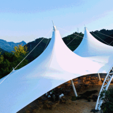 �������������������Ĥ����Ĥ�Y��ͣ܇��̘I���^��