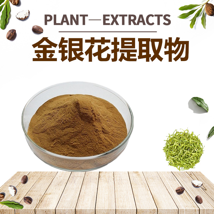 SC供应金银花提取物10:1金银花粉末提取物(浓香型)现货 固体饮料