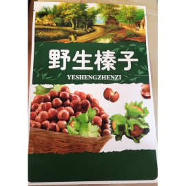 休闲食品自封袋 干果干货包装袋 坚果包装袋休闲食品袋包装袋制作