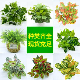 仿真枫叶仿真植物盆栽仿真植物墙塑料类植物仿真植物墙插花配材