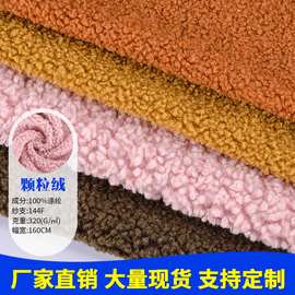 精品颗粒羊毛绒 小泰迪小浣熊玩具 时装