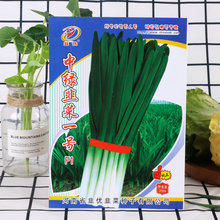 韭菜 中绿韭菜1号韭菜种子口感好蔬菜种子特色250g韭菜种子批发