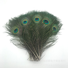 厂家直销孔雀毛25-30CM现货供应优质孔雀羽毛