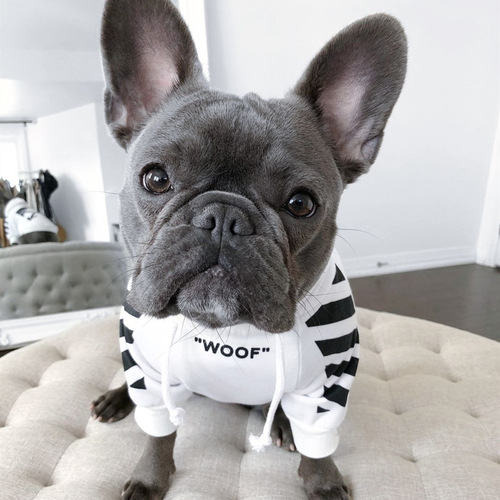 Corgi Schnauzer French Bulldog Pet Trend Brand Instagram Dog Sweatshirt Prank Autumn Winter Sports Dog Clothes