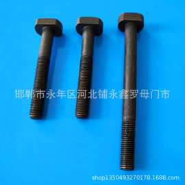 批发零售M18T型螺栓 M18*70--M18*400T型螺栓 高强度T型头螺丝