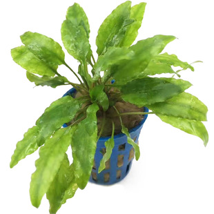 С�G��߅���ݻ��w��ˮ��ˮ�����~���쾰�b��˽������l���ˮ��