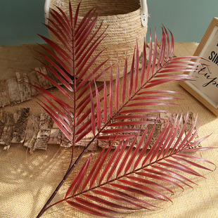 Ψ������ɢβ���~�ؙ����~Ҭ�Ә��~ɢβ�~ᘿ��~��~��c������~