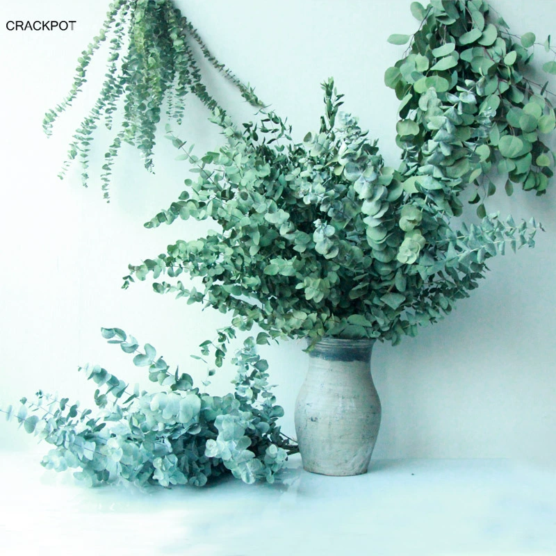 Base A -Class Yigali Yean Flower Mori естественно высушенный, настоящий цветок медь эвкалипт Eugar база оптом
