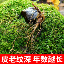 �|���r�˅� �L��ɽ����ɽ�������r����ɽ�� Ұɽ��һ������