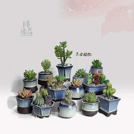 陶瓷花盆多肉小老庄陶瓷盆景简约现代花盆粗陶天目釉花盆厂家直销