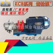 批发零售KCB83.3/55/33.3泊头齿轮泵厂家不锈钢齿轮泵齿轮油泵