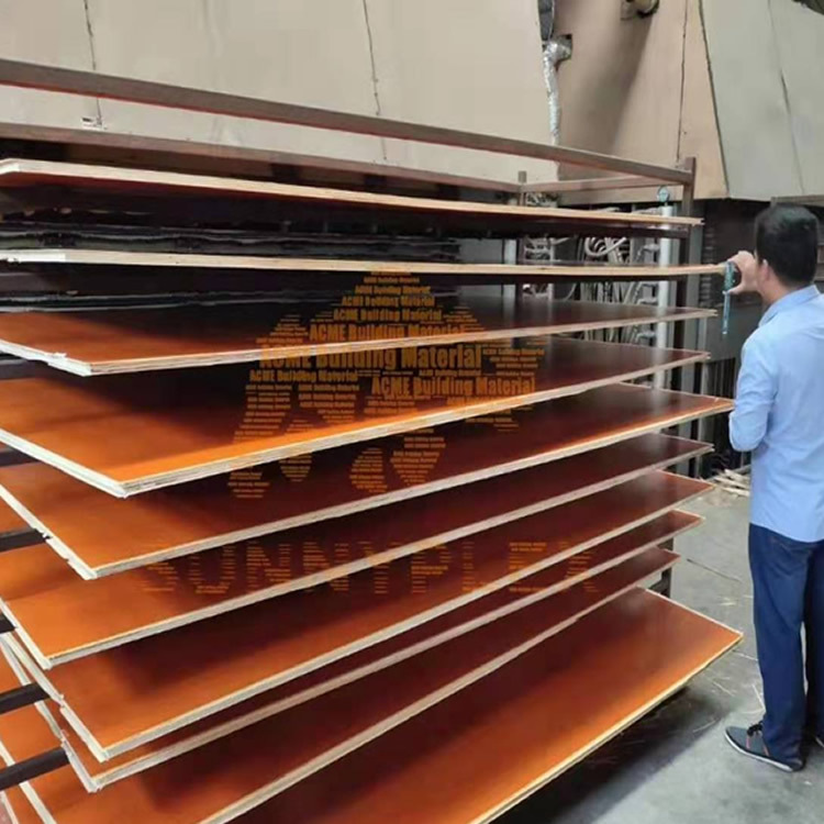 Suministro directo de fábrica 12mm Plantilla de agua resistente al desgaste para dos proyectos de prensado en caliente