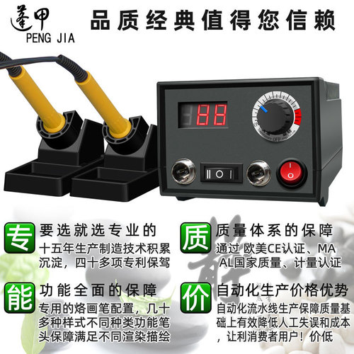 Pengjia Professional Temperature-Controlled Pyrography Machine, Pyrography Tool Kit, Gourd Wood Board, Heat Transfer Painting and Carving Machine, Electric Soldering Iron, Paintbrush