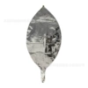 22 -inch 4D ball silver