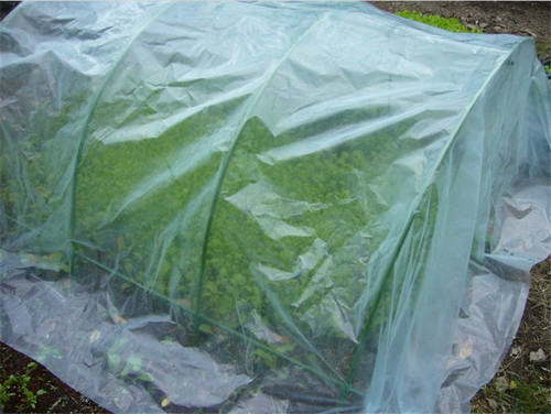 Gardening greenhouse film household thermal insulation plastic film light-transmitting and rain-proof multi-functional greenhouse 2-2.5 meters transparent 5 silk