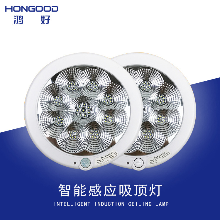 220V梅花款声光控红外人体感应吸顶灯低压24V36V楼道灯消防应急灯