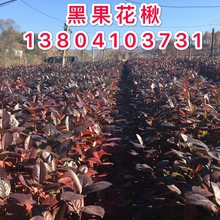 ��������ڹ����߻�� ����ݮС�翹����������a�����l