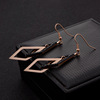 Trend fashionable long earrings stainless steel with tassels, Korean style, internet celebrity