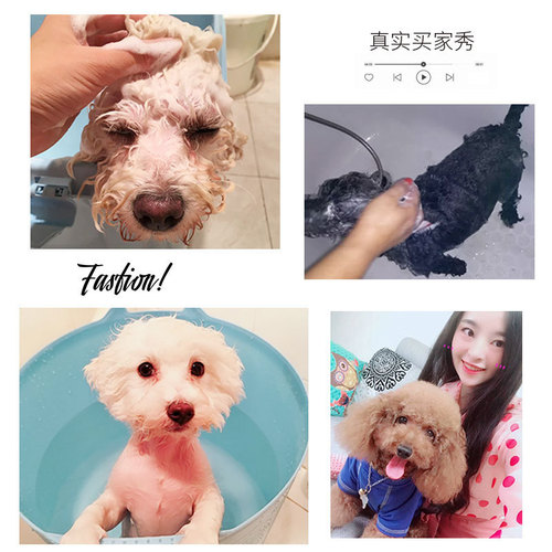 Dog Shower Gel Teddy Bichon Schnauzer Golden Retriever Special Deodorant Fragrance Bath Bath Liquid Shampoo Pet Supplies