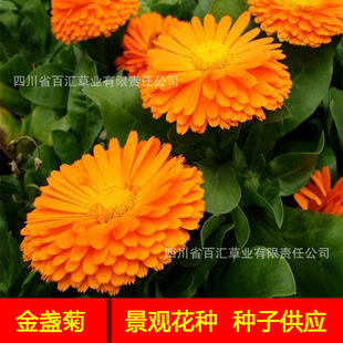 ��K�շN�ӹ����Ĵ��ɶ� ���l�G���ݷN ���N ��K�շN��