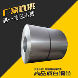 可分切分条 c7521 铜锌合金带 白铜带 锌白铜带