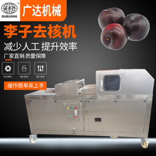 李子去核机 厂家直销不锈钢自动化专业生产去核机械设备 品质保证