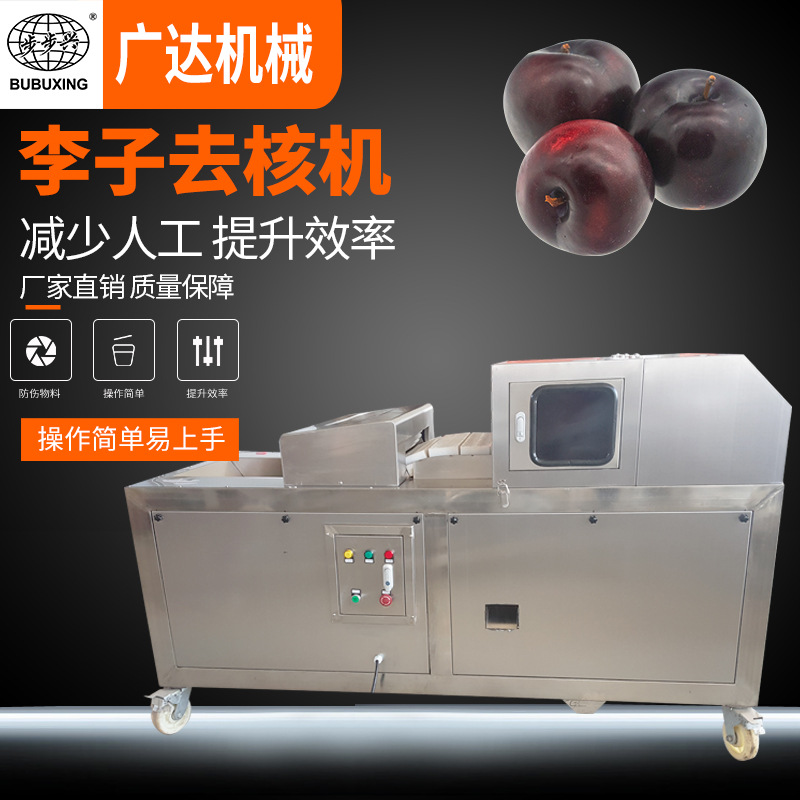 李子去核机 厂家直销不锈钢自动化专业生产去核机械设备 品质保证