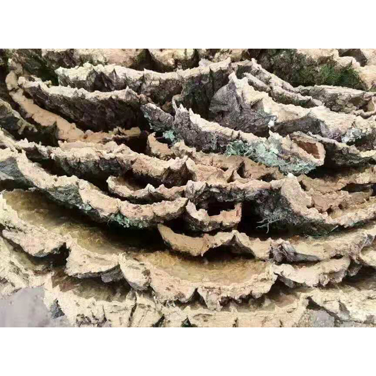 Wholesale champagne bark climbing pets to avoid bark decorative…