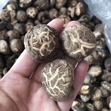 3-4公分花菇干货香菇肉厚 干香菇食用菌散装南北农产品特产