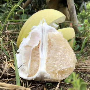 ����ɳ���֏V�|÷��ɳ�����ӷǏV��ɳ�����ӬgϪ����ˮ�����r���l