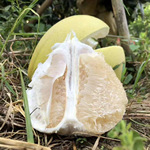 ����ɳ���ֹ㶫÷��ɳ�����ӷǹ���ɳ�����ӬgϪ����ˮ�����ʴ���