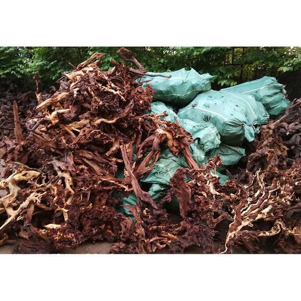 Coral aquarium decor