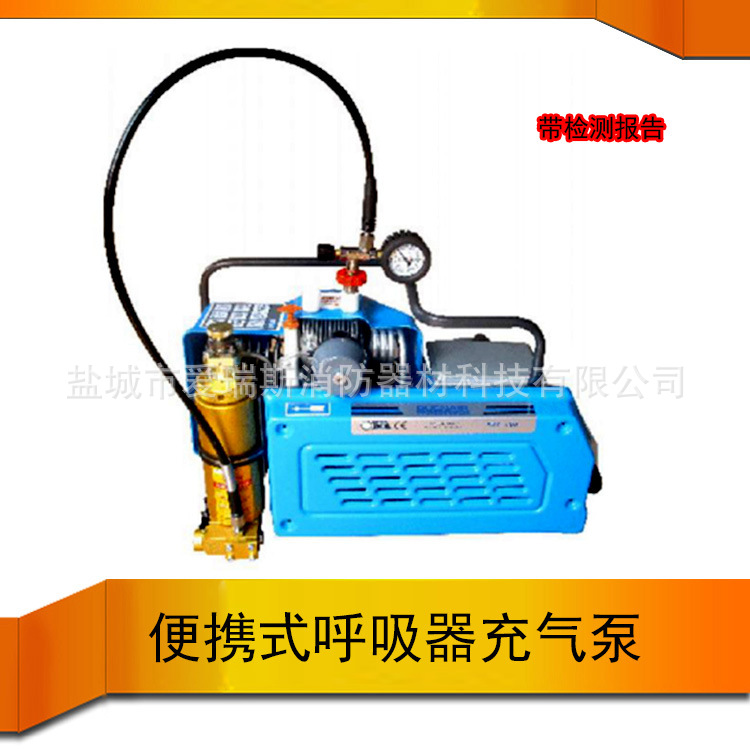 空气呼吸器充气泵 高压呼吸空气压缩机 野渡翁AH-100E 空气压缩