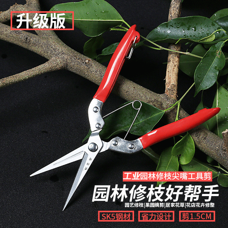 修枝剪刀弹簧工具剪树枝果树高枝剪修花枝剪摘果园艺园林现货批发