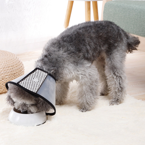 Elizabethan collar cat neck collar bathing beauty protective cover pet protective collar pet supplies wholesale