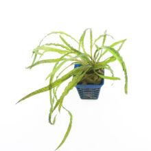 ̩����Ȫ���ݻ��w��ˮ�����lˮ���~���쾰�ײ͑��˽��ݹ��ˮ��