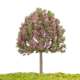 Sand Table Building Model Mixed Flower Old Street Tree Micro Landscape Tree Scene Model Tree Craft Model Tree